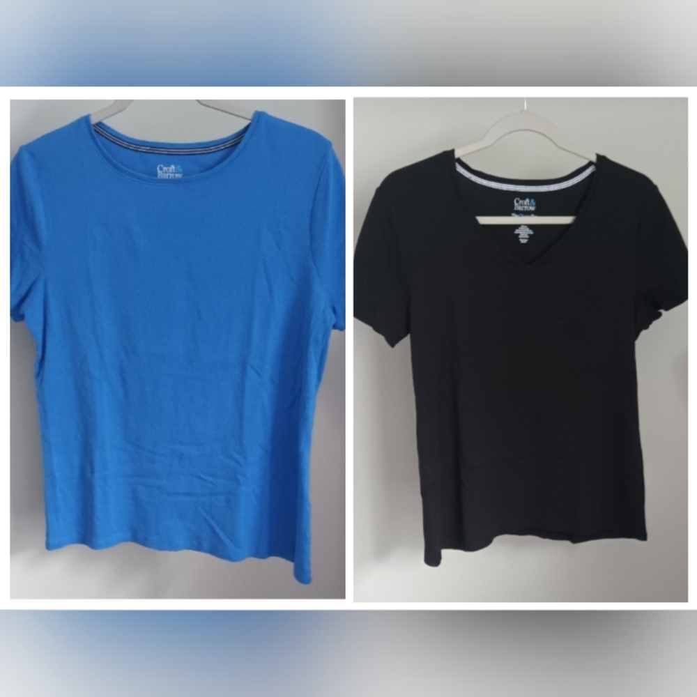Croft & Barrow The Classic Tee Set Of 2